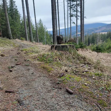 Дом отдыха Slow Huts *