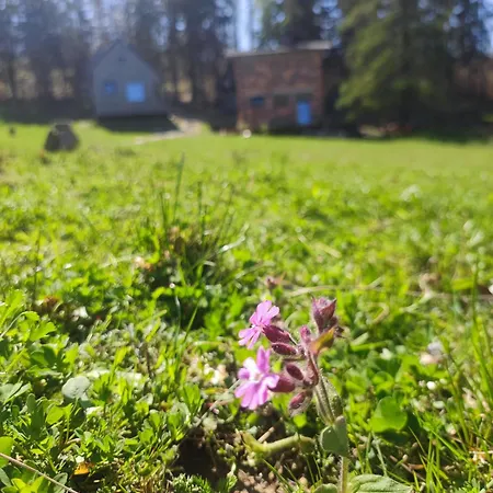 Дом отдыха Slow Huts