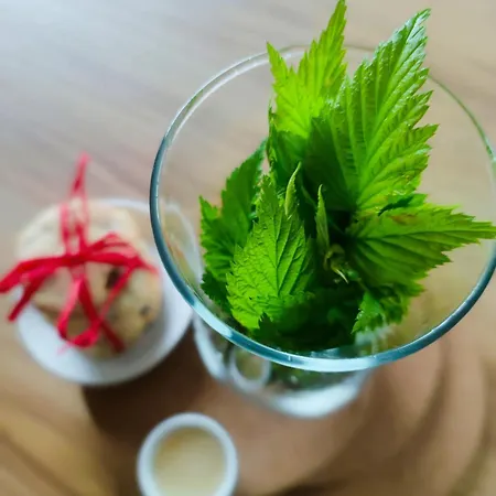 Дом отдыха Slow Huts Мендзыгуже