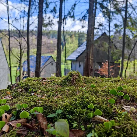 Slow Huts مينزغوجة