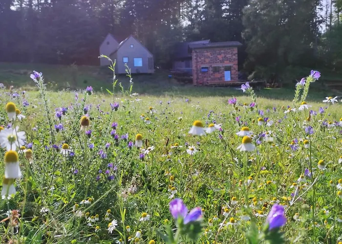 Dom wakacyjny Slow Huts