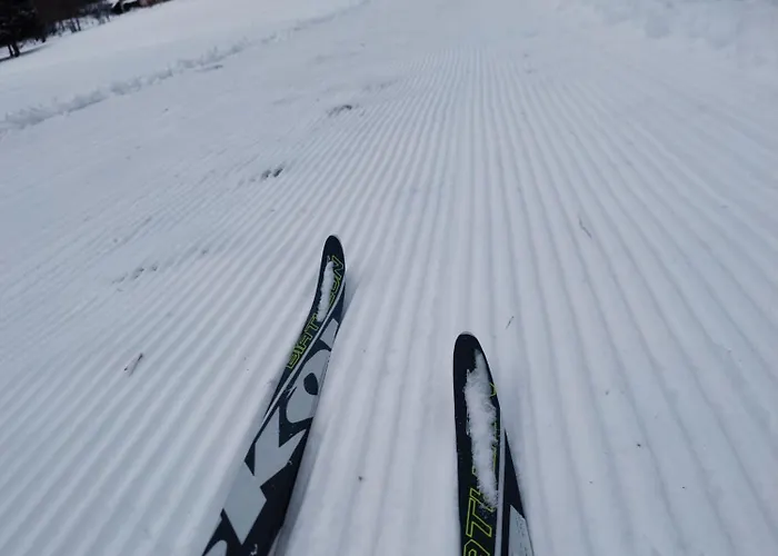 Slow Huts Holiday home Miedzygorze