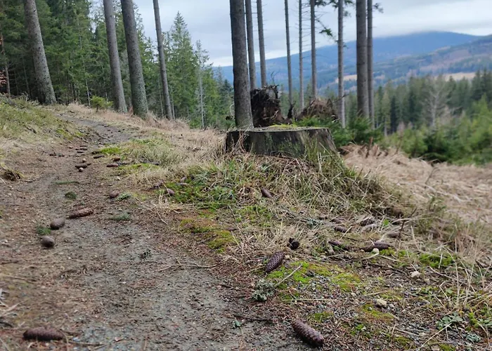 Dom wakacyjny Slow Huts *