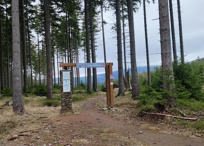 Slow Huts * Miedzygorze