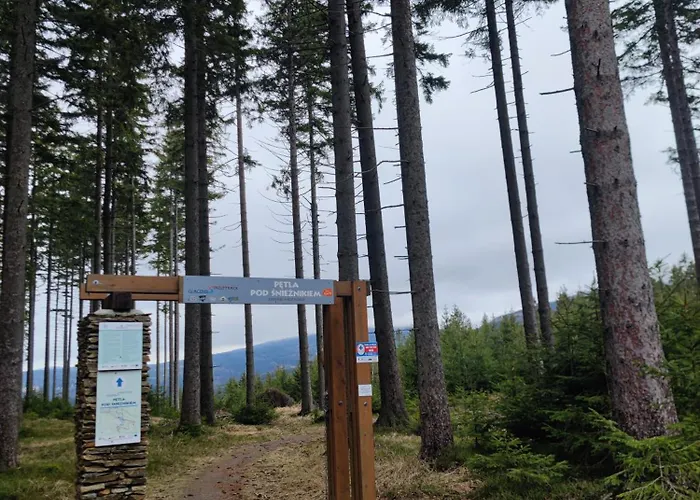 Slow Huts Dom wakacyjny Międzygórze