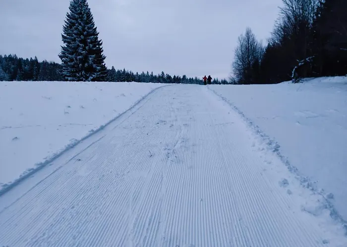 Slow Huts Miedzygorze