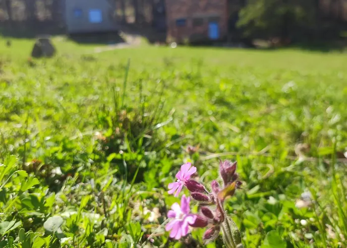 Holiday home Slow Huts