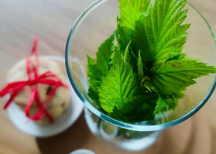 Dom wakacyjny Slow Huts Międzygórze