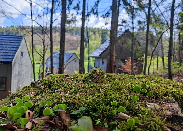Slow Huts Międzygórze