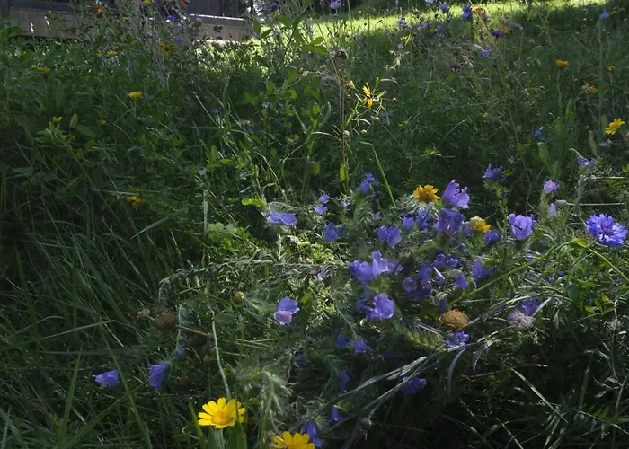 Slow Huts Holiday home Miedzygorze