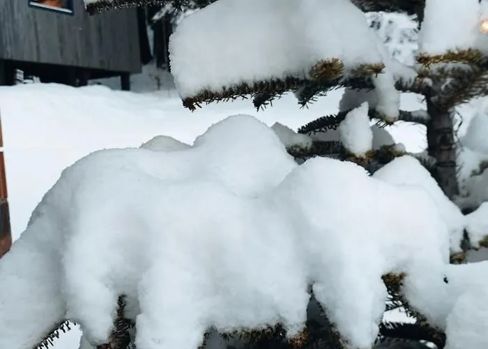 Dom wakacyjny Slow Huts *