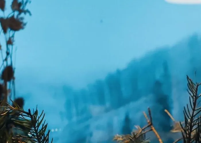 Slow Huts Dom wakacyjny